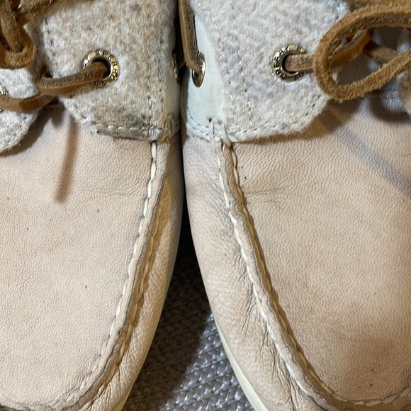 Sperry Shoes - Picture 3 of 9